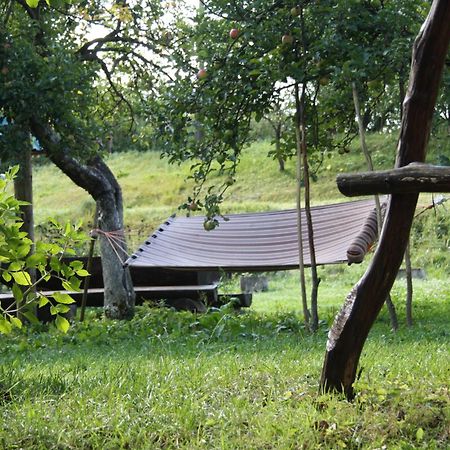 Sadyba Lukacha Żdenijewo Zewnętrze zdjęcie